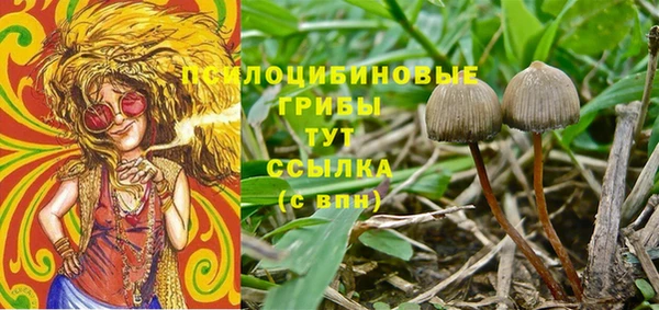 ALPHA PVP Богородск
