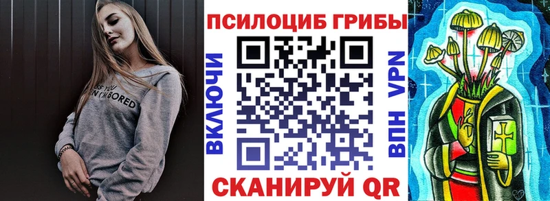 Псилоцибиновые грибы прущие грибы  Мещовск 